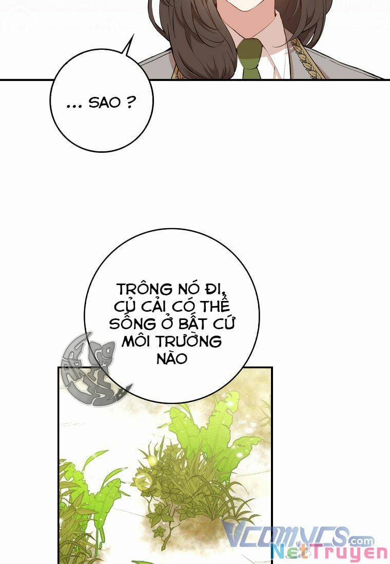 Sóc Nhỏ Tài Năng 8 trang 81