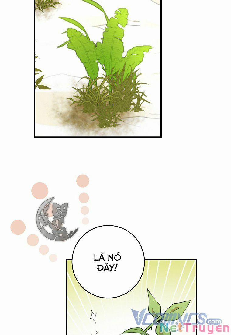 Sóc Nhỏ Tài Năng 8 trang 82