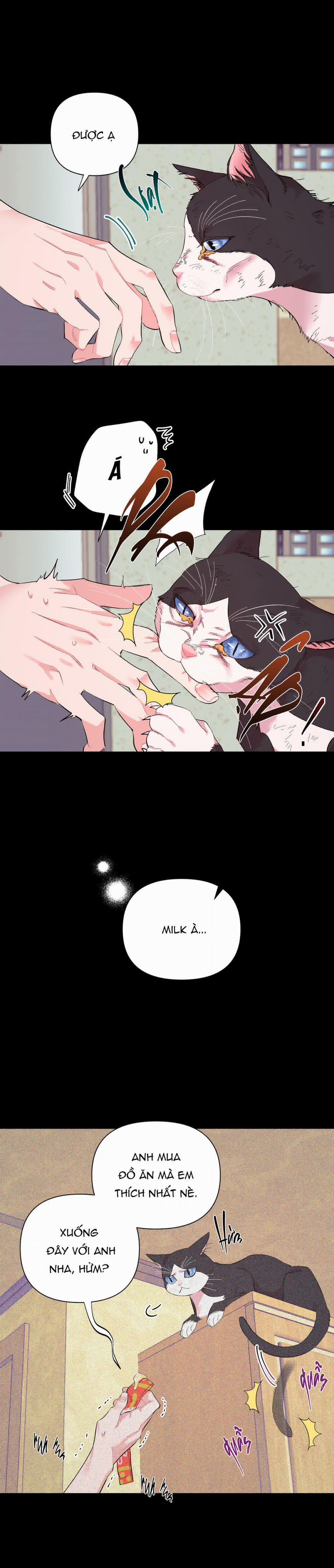 Socola Sữa Lắc 2 trang 1