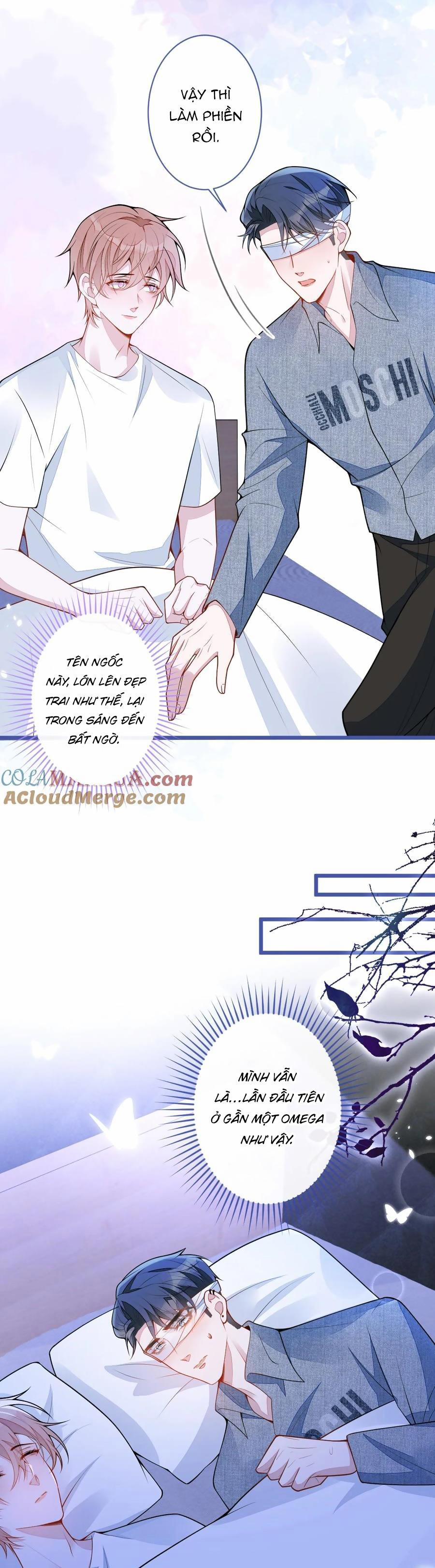 Sói Báo Ơn (END) 50 trang 11