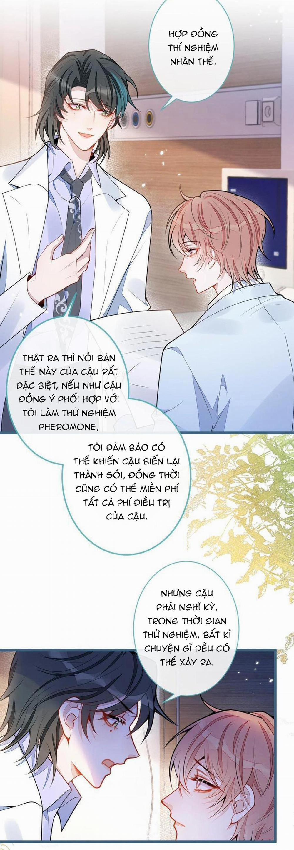 Sói Báo Ơn (END) 52 trang 19