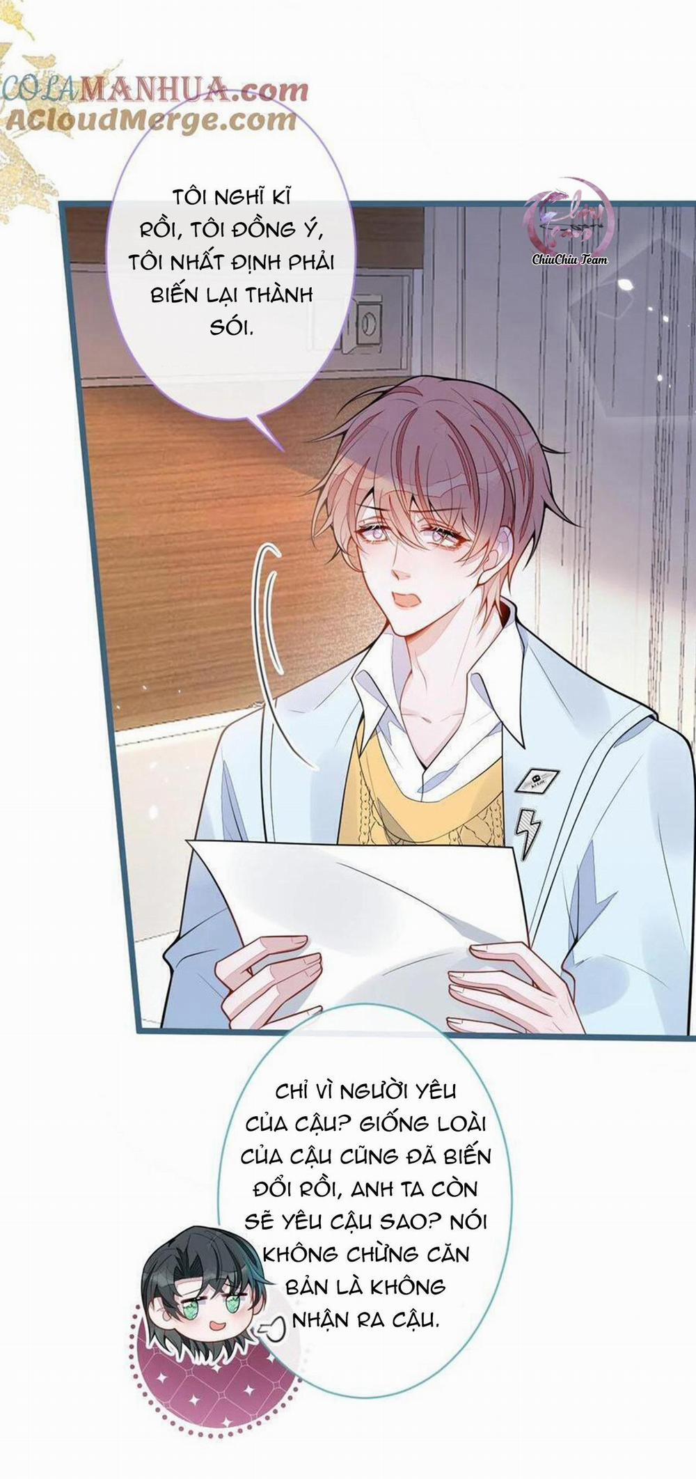 Sói Báo Ơn (END) 52 trang 20