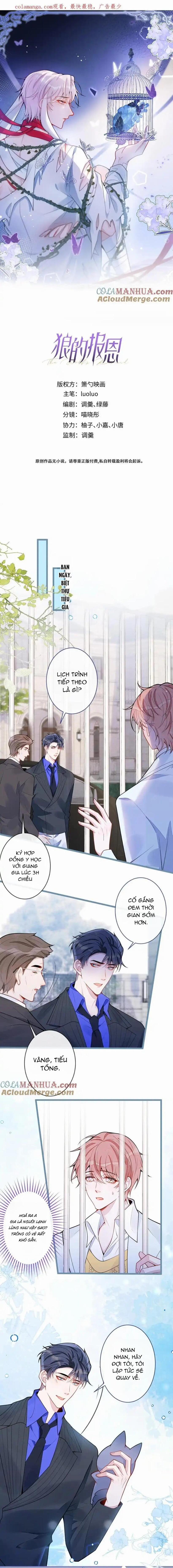 Sói Báo Ơn (END) 53 trang 0