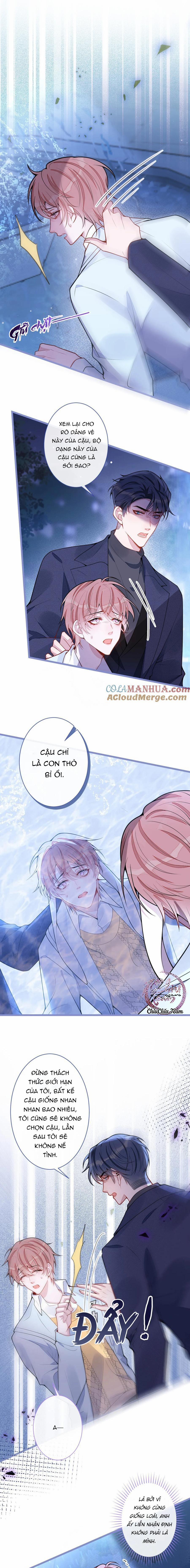 Sói Báo Ơn (END) 55 trang 7