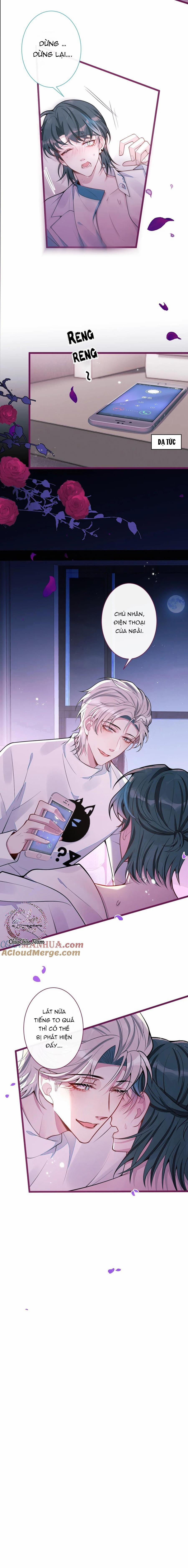 Sói Báo Ơn (END) 58 trang 8