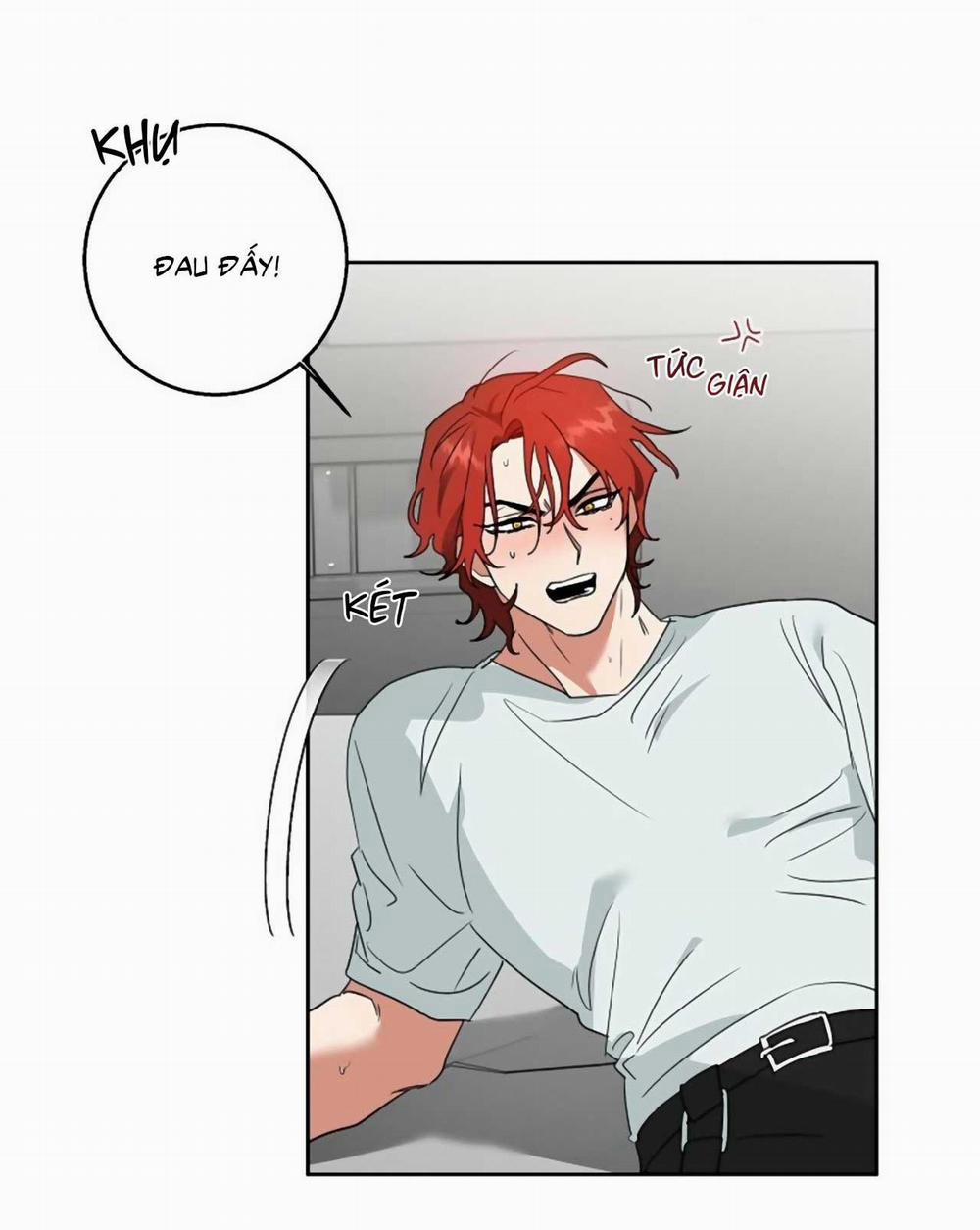 SÓI GIÀ VÀ CÁO NHỎ 1 trang 2