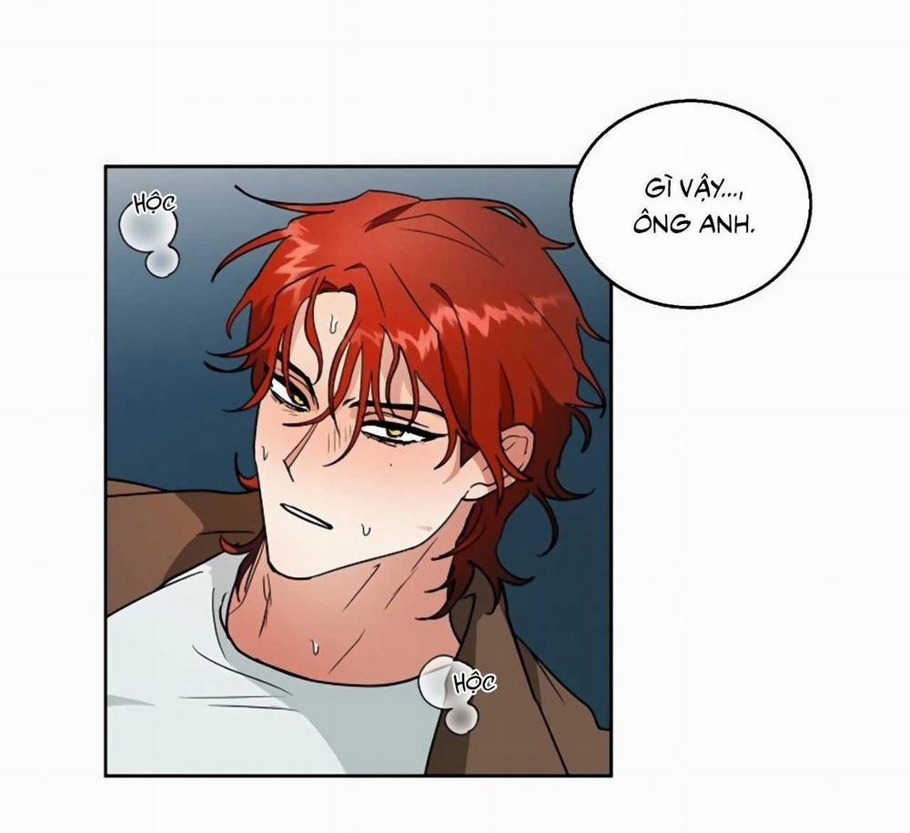 SÓI GIÀ VÀ CÁO NHỎ 1 trang 40