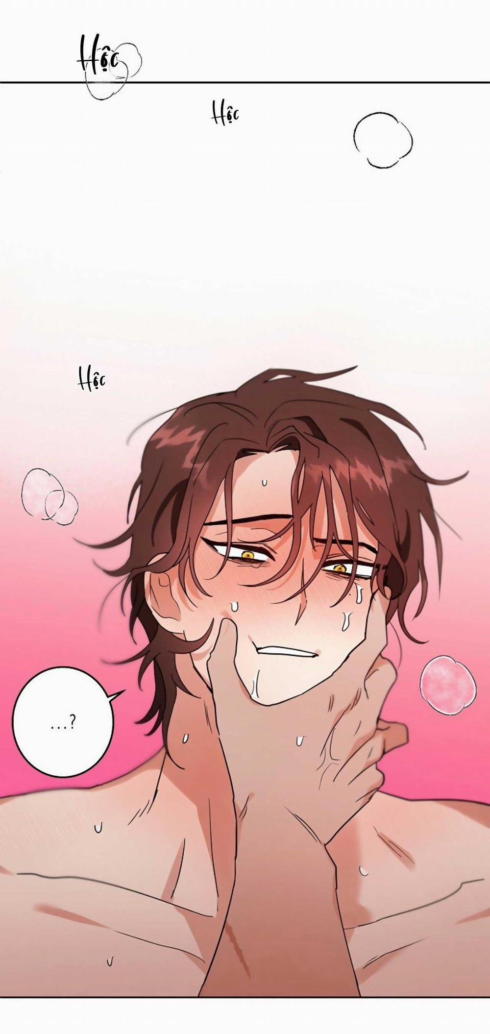 SÓI GIÀ VÀ CÁO NHỎ 2 trang 24