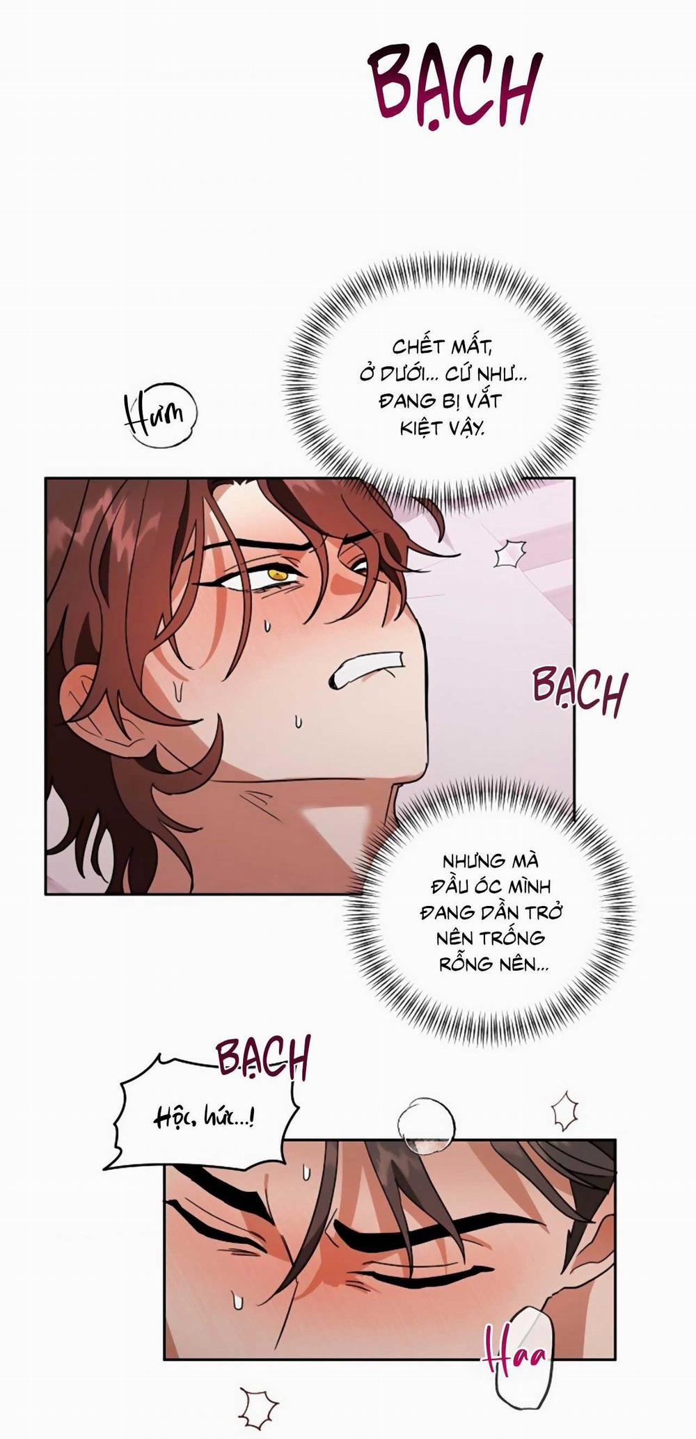 SÓI GIÀ VÀ CÁO NHỎ 2 trang 4