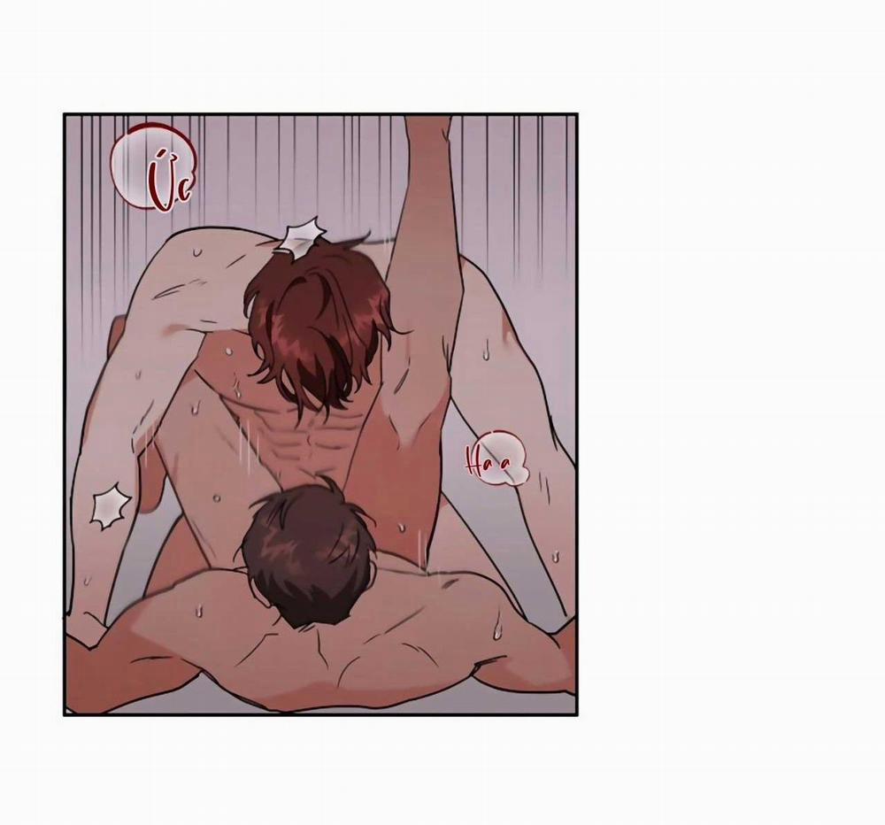 SÓI GIÀ VÀ CÁO NHỎ 2 trang 40