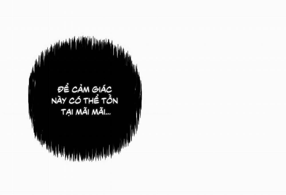 SÓI GIÀ VÀ CÁO NHỎ 2 trang 45