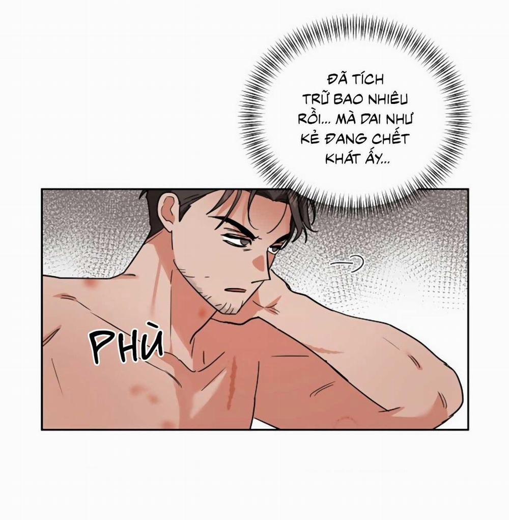 SÓI GIÀ VÀ CÁO NHỎ 2 trang 47