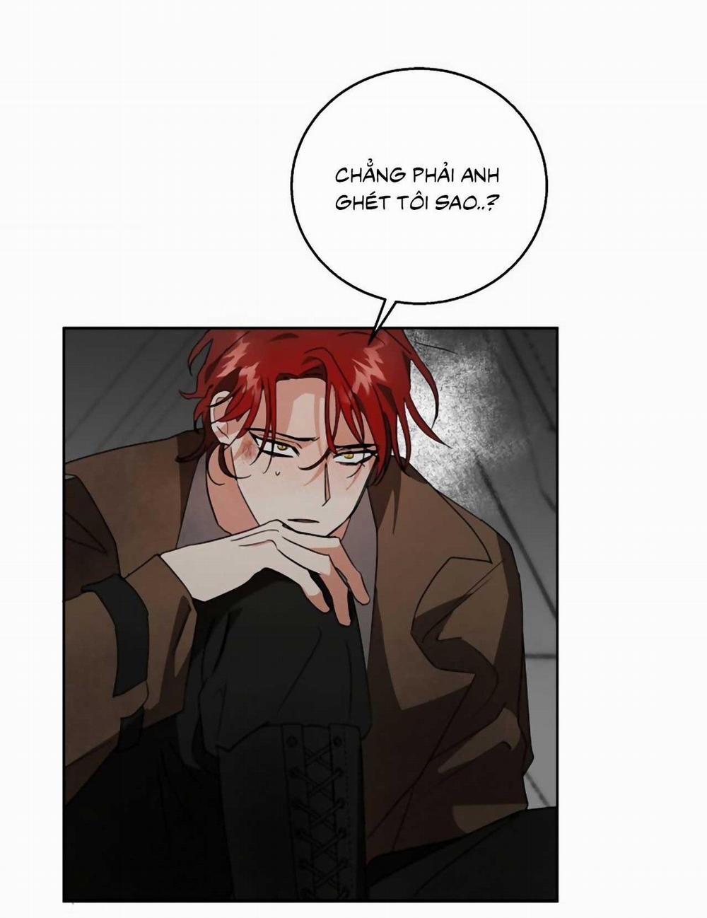 SÓI GIÀ VÀ CÁO NHỎ 4 trang 25