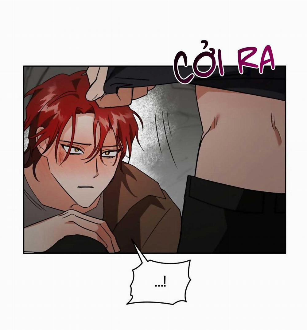 SÓI GIÀ VÀ CÁO NHỎ 4 trang 28