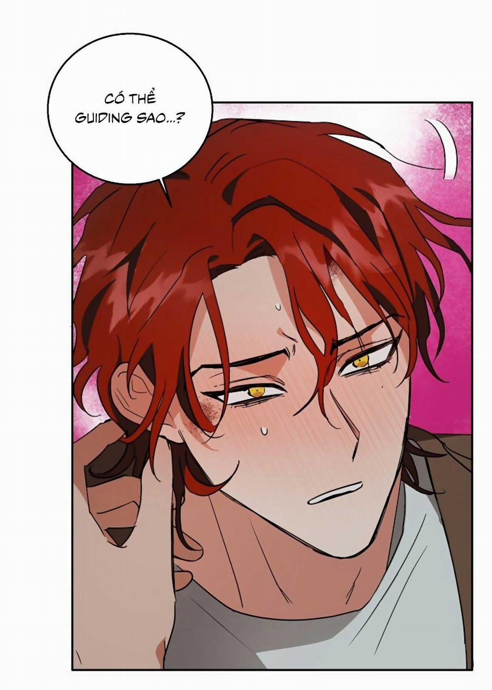 SÓI GIÀ VÀ CÁO NHỎ 4 trang 32