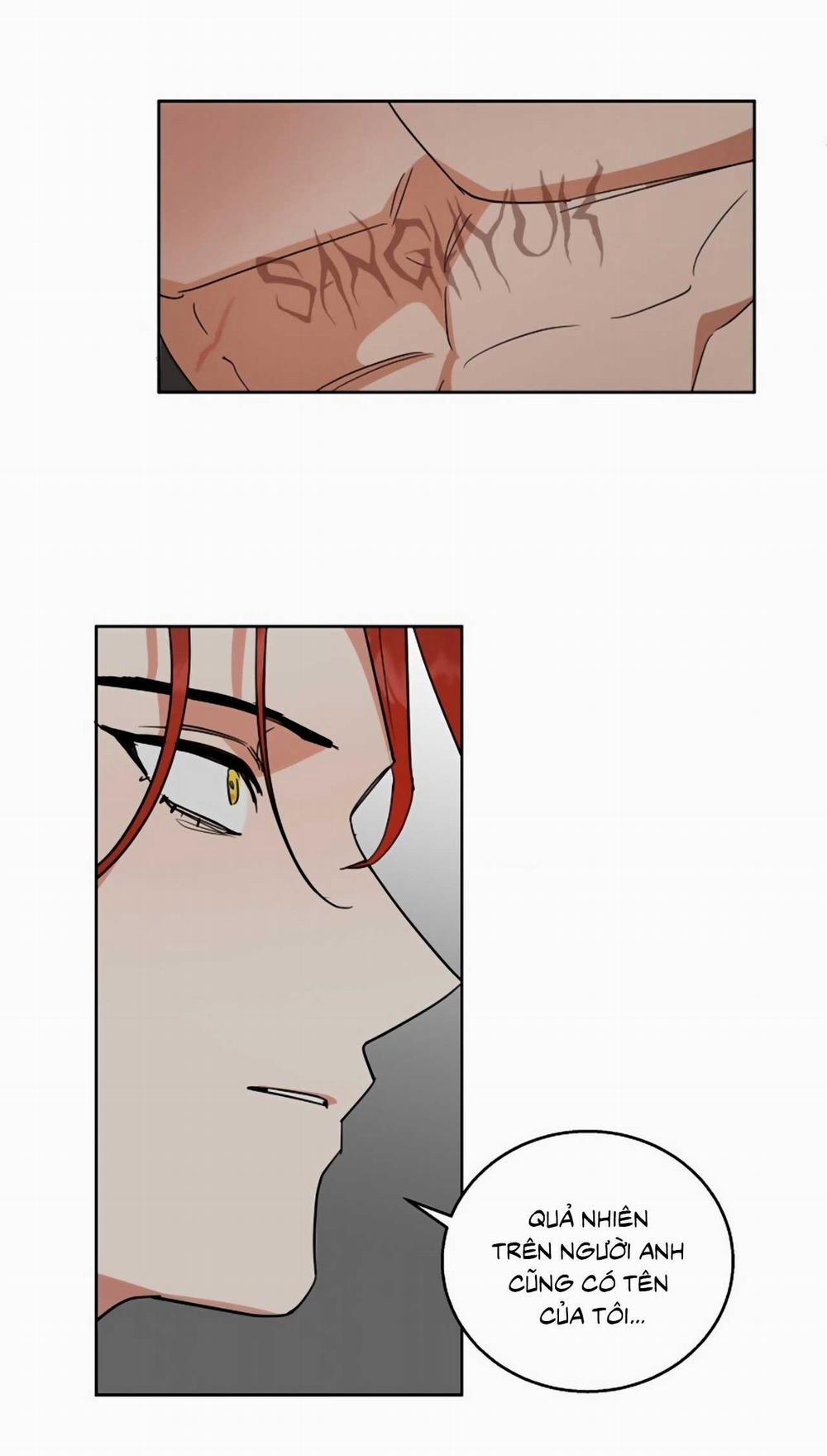 SÓI GIÀ VÀ CÁO NHỎ 4 trang 37