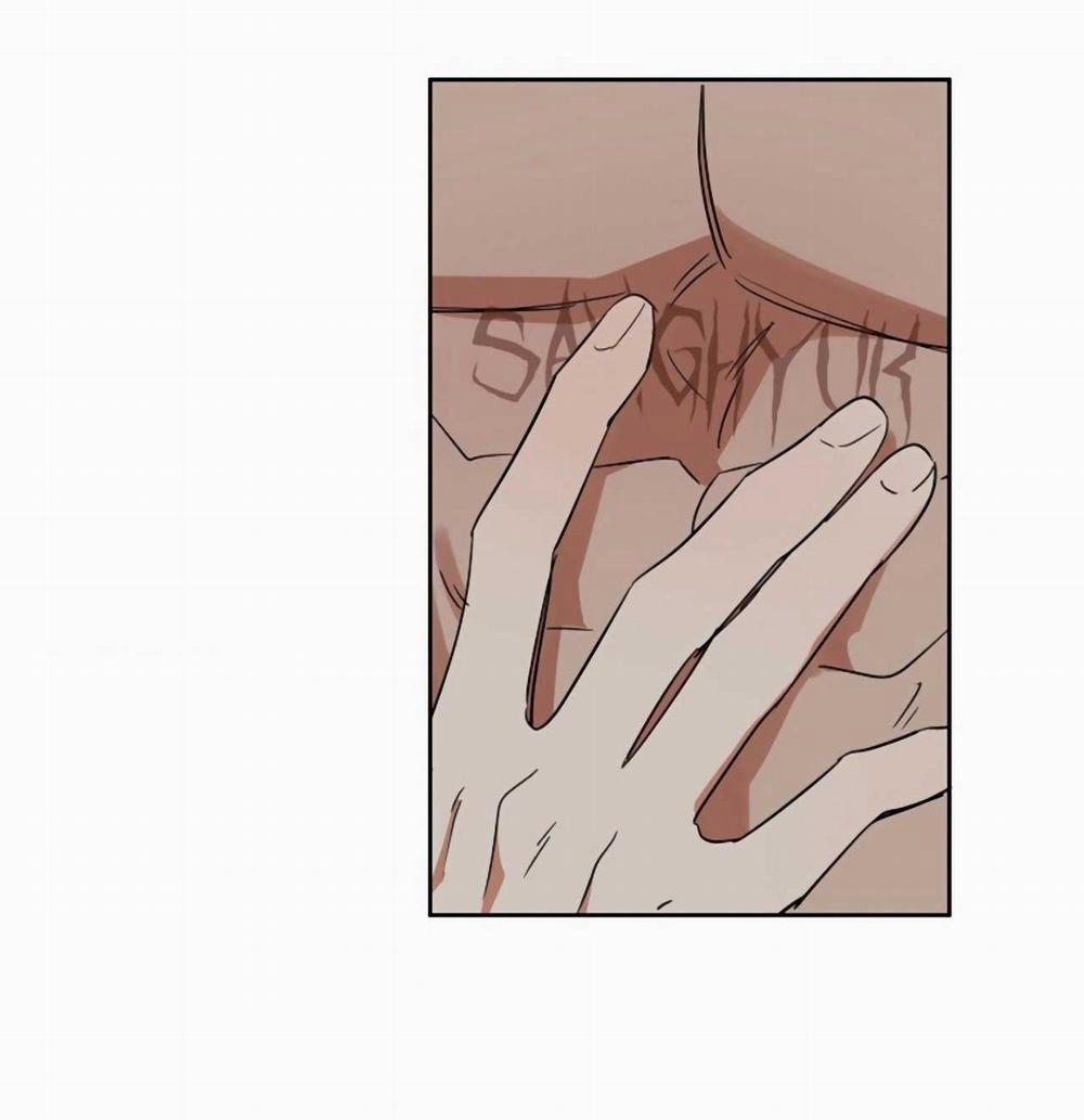 SÓI GIÀ VÀ CÁO NHỎ 4 trang 38