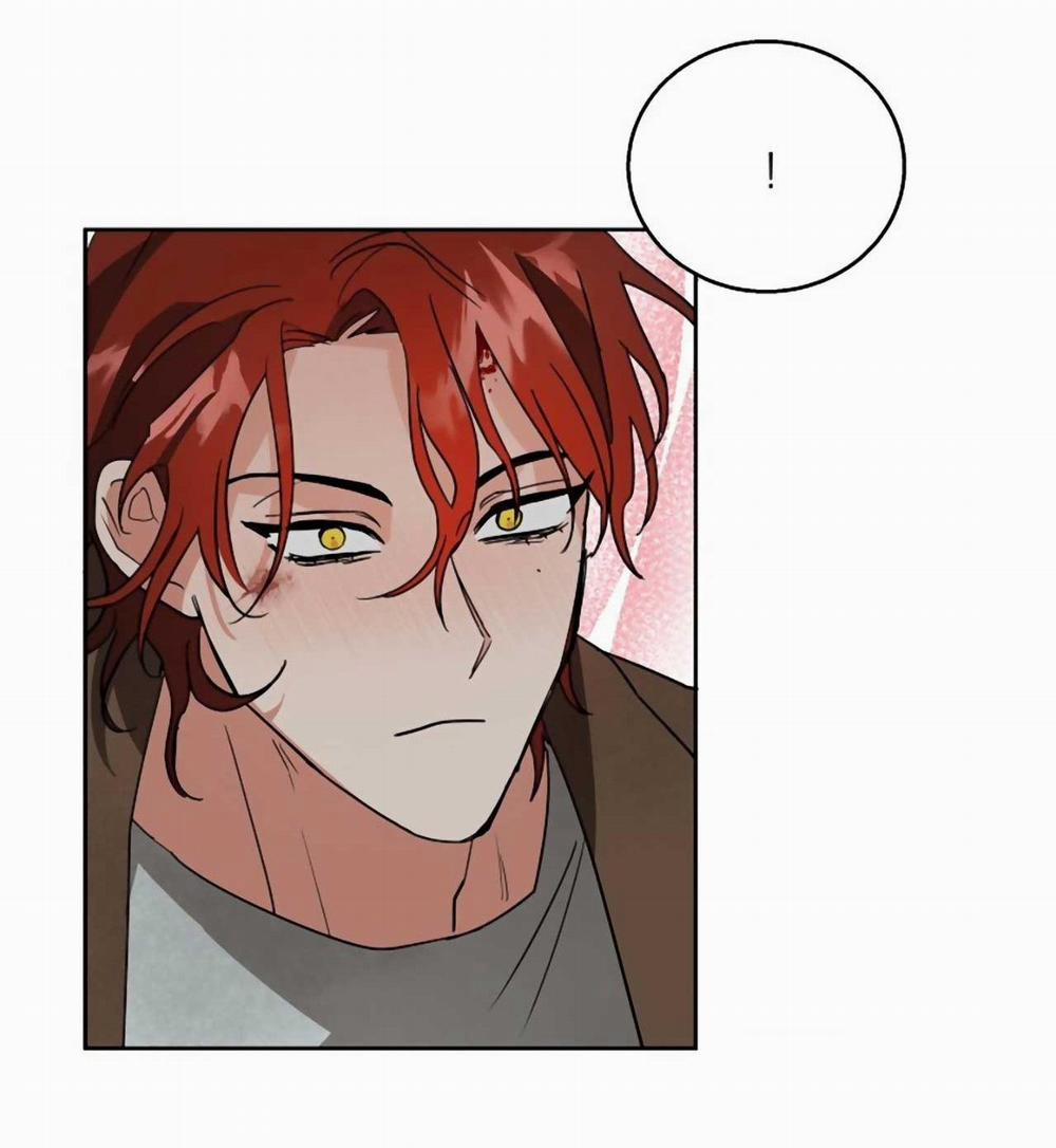 SÓI GIÀ VÀ CÁO NHỎ 4 trang 40