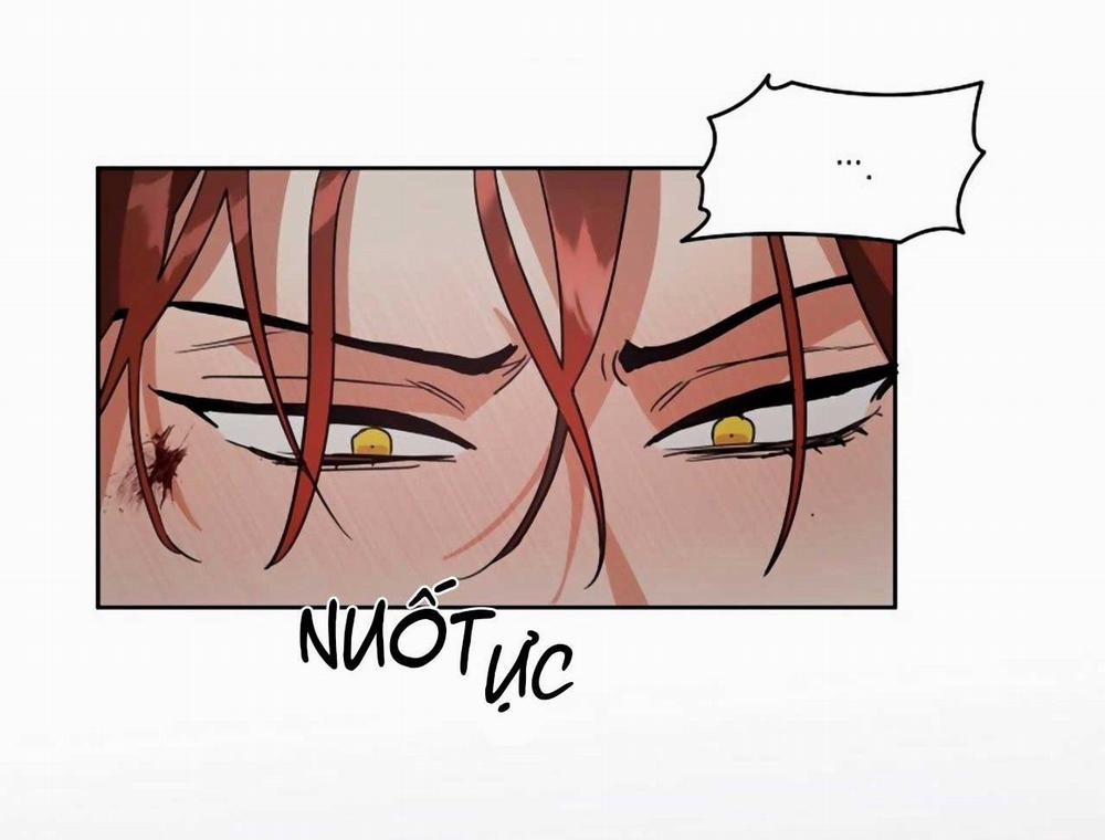 SÓI GIÀ VÀ CÁO NHỎ 4 trang 43