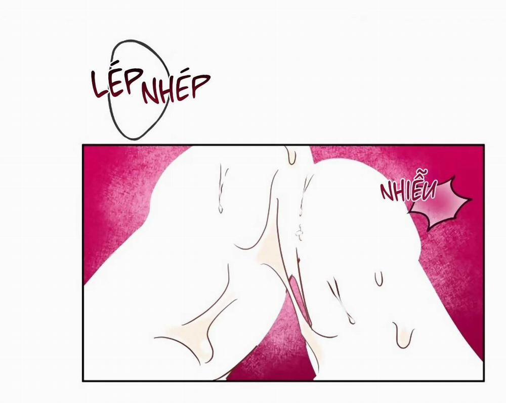 SÓI GIÀ VÀ CÁO NHỎ 4 trang 47