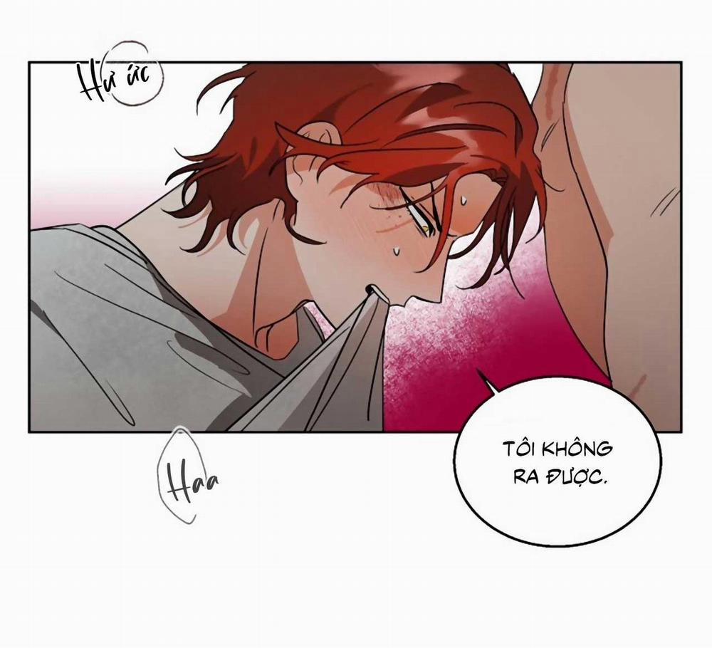 SÓI GIÀ VÀ CÁO NHỎ 4 trang 49