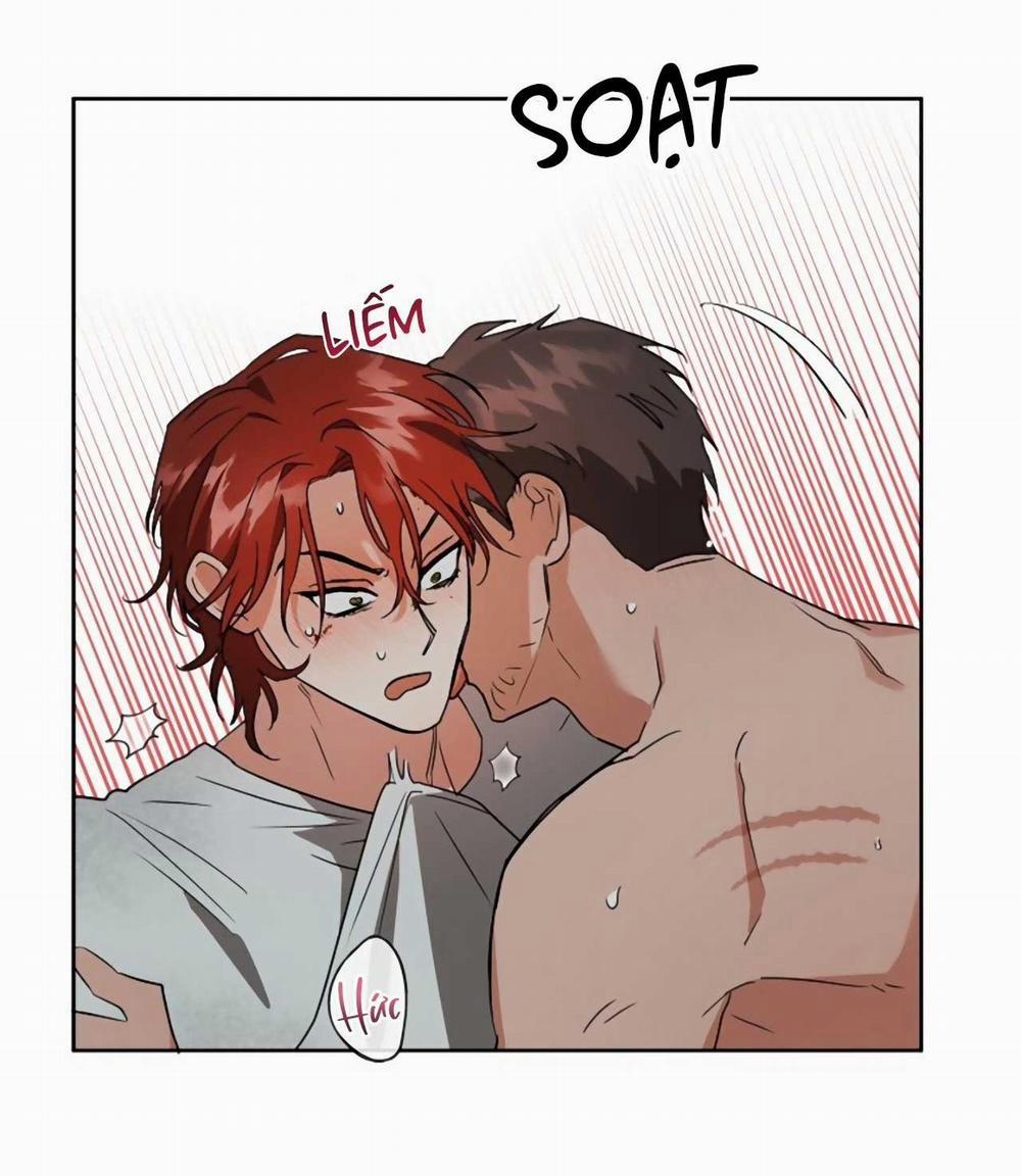 SÓI GIÀ VÀ CÁO NHỎ 4 trang 51