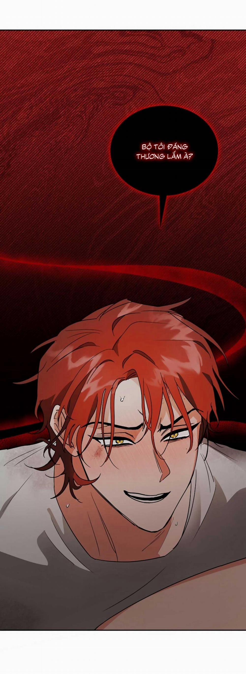 SÓI GIÀ VÀ CÁO NHỎ 4 trang 65