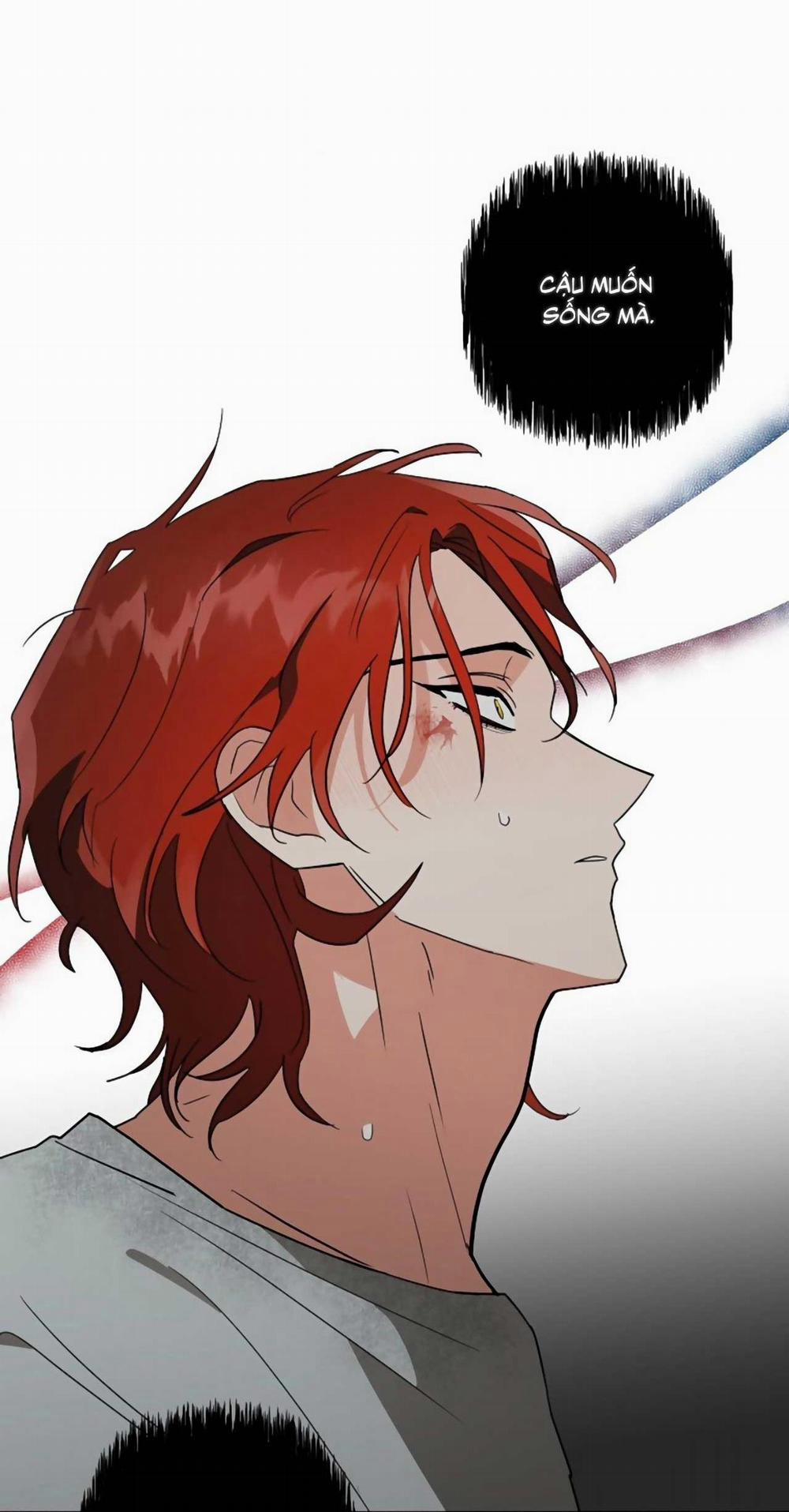 SÓI GIÀ VÀ CÁO NHỎ 4 trang 68