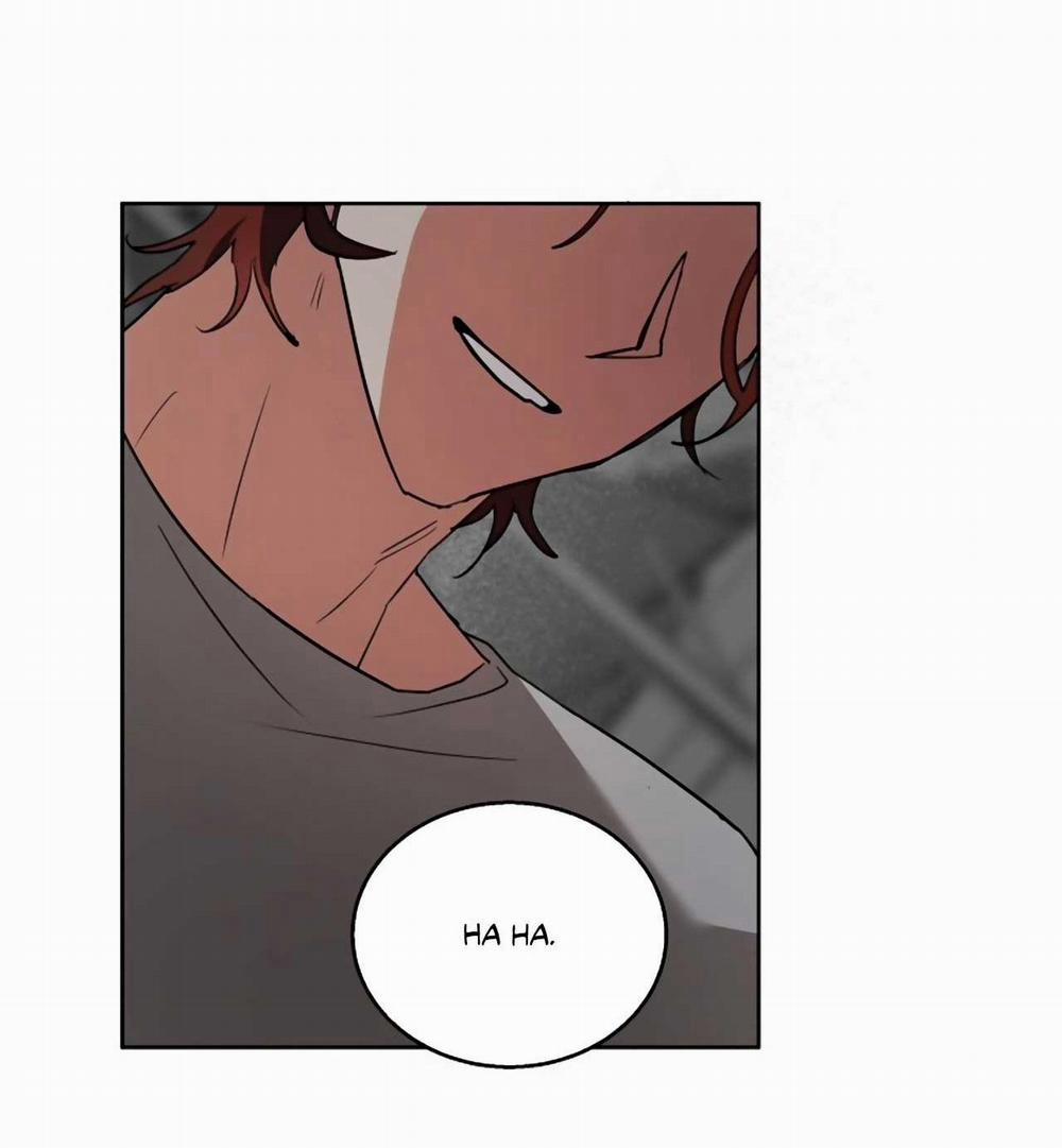 SÓI GIÀ VÀ CÁO NHỎ 5 trang 2