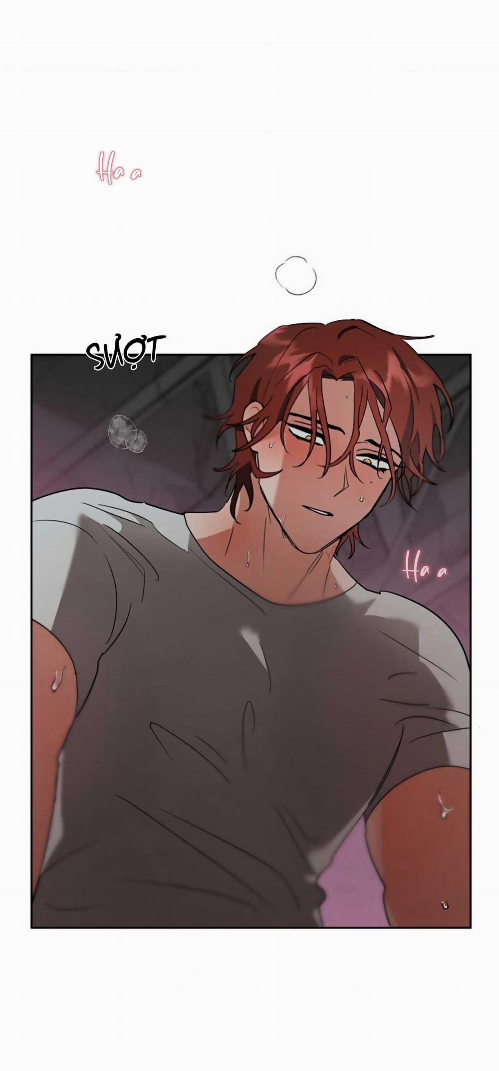 SÓI GIÀ VÀ CÁO NHỎ 5 trang 24