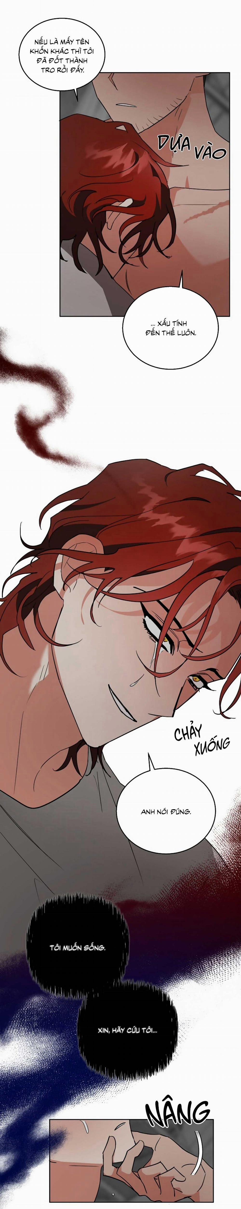 SÓI GIÀ VÀ CÁO NHỎ 5 trang 3