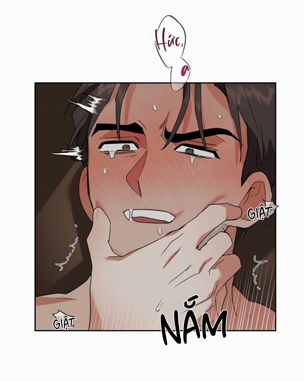 SÓI GIÀ VÀ CÁO NHỎ 5 trang 38