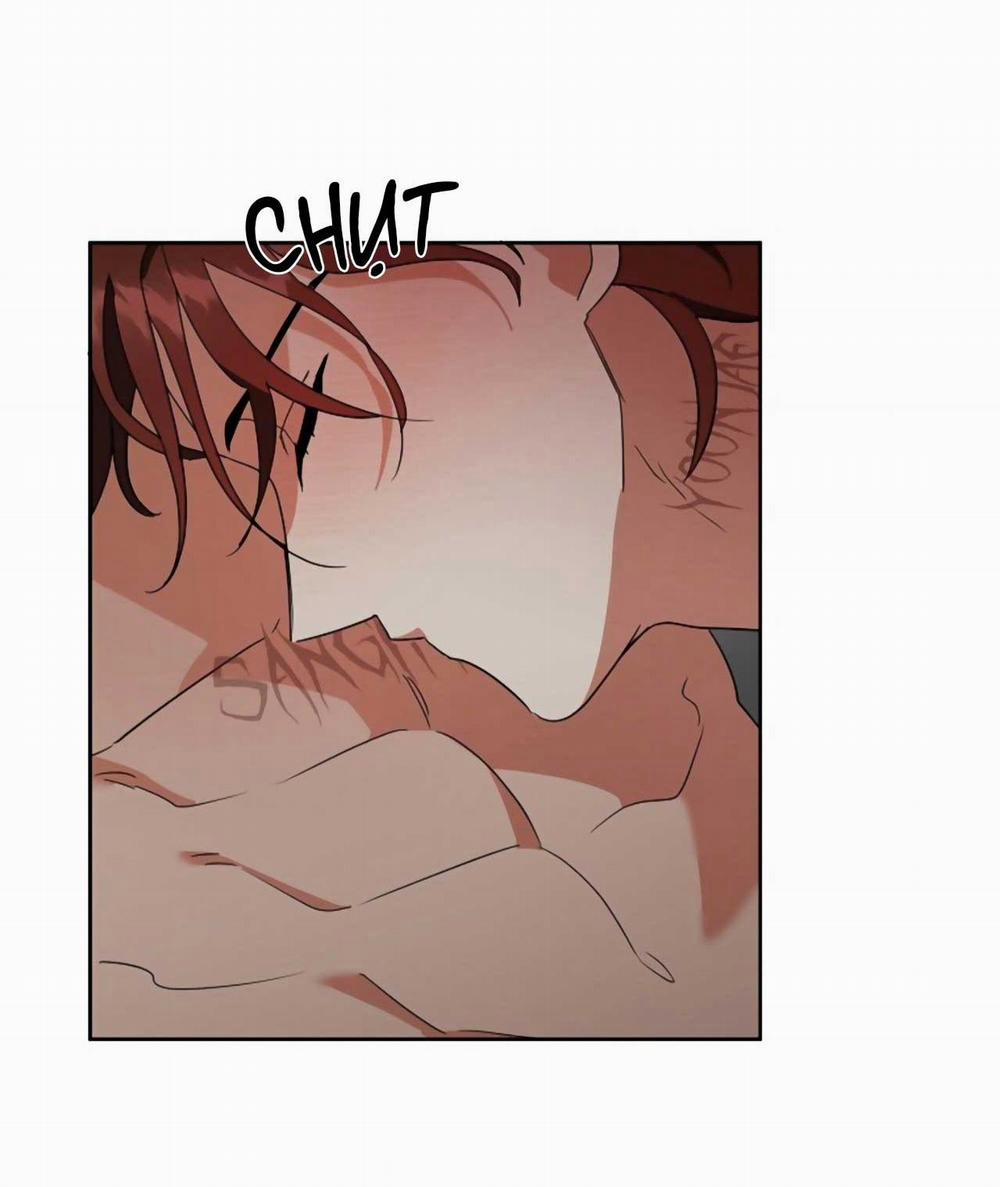 SÓI GIÀ VÀ CÁO NHỎ 5 trang 41