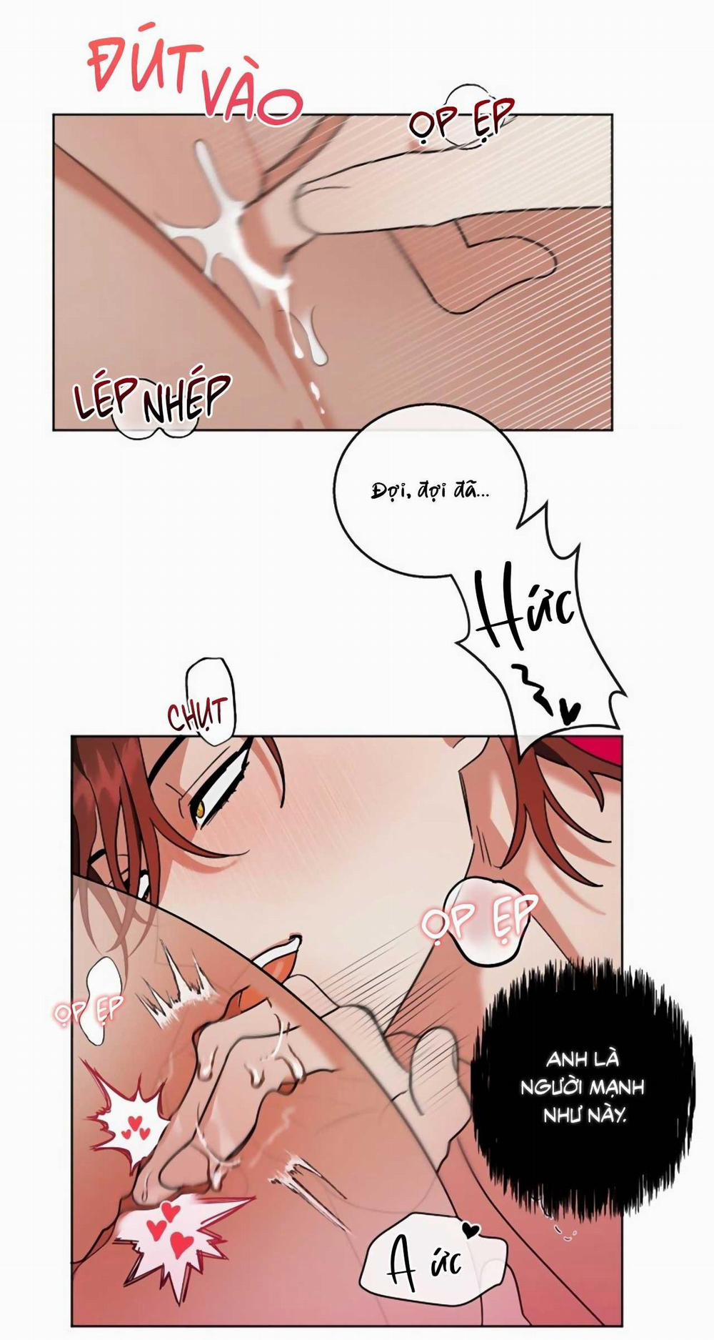 SÓI GIÀ VÀ CÁO NHỎ 6 END trang 47