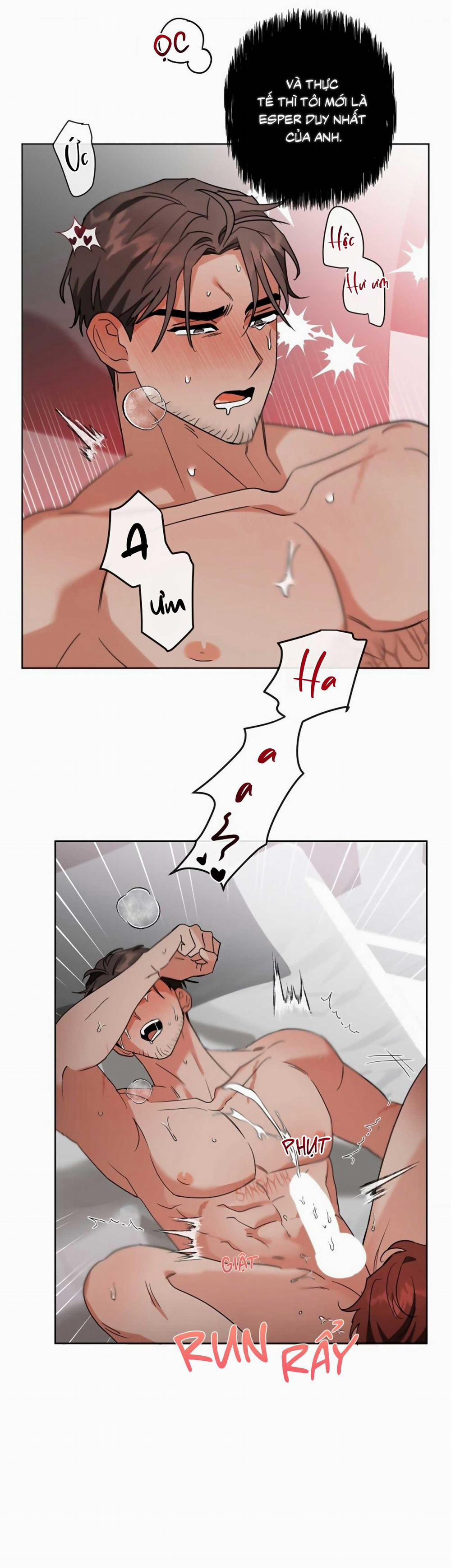 SÓI GIÀ VÀ CÁO NHỎ 6 END trang 48