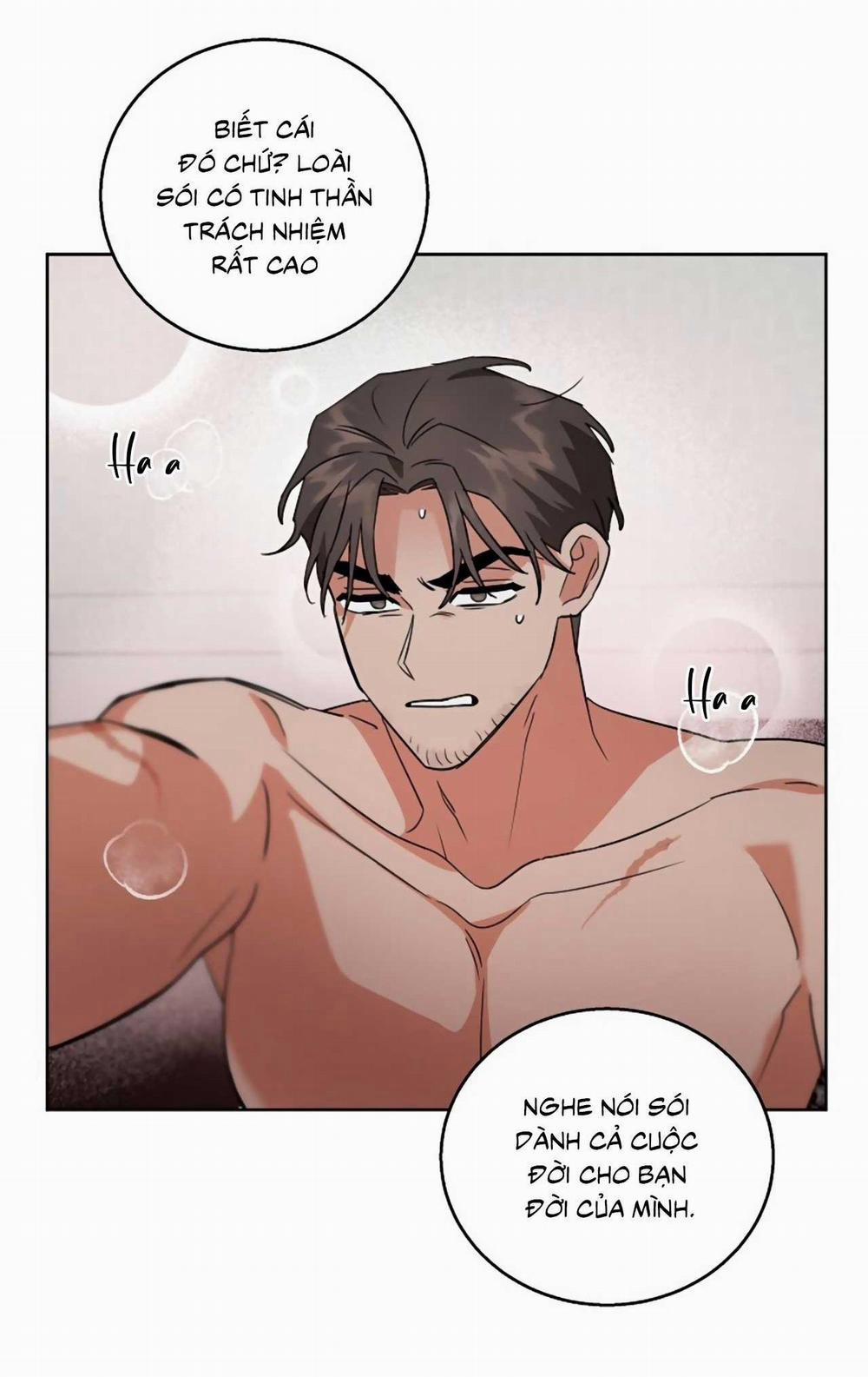 SÓI GIÀ VÀ CÁO NHỎ 6 END trang 53