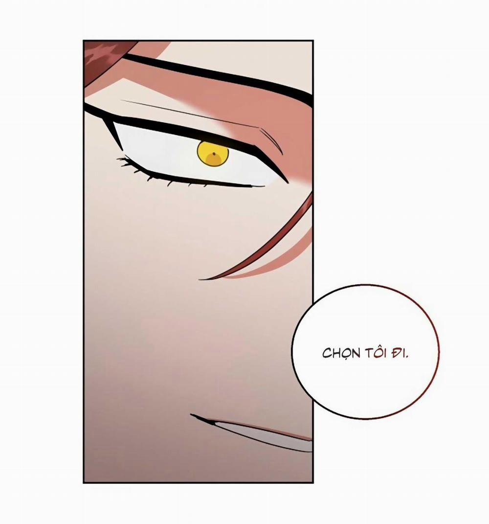 SÓI GIÀ VÀ CÁO NHỎ 6 END trang 54