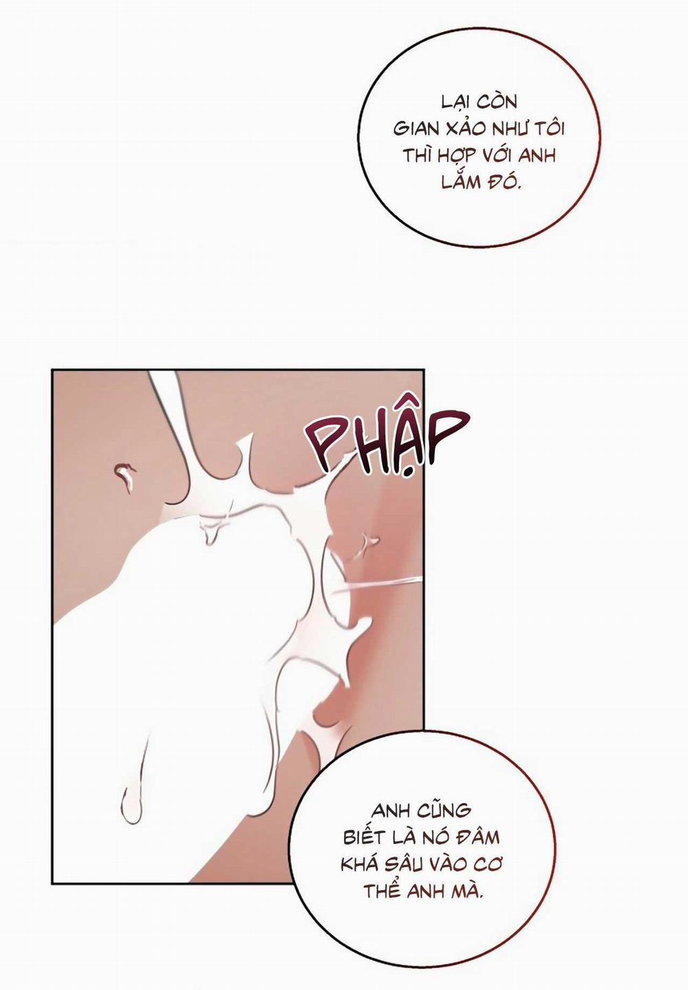 SÓI GIÀ VÀ CÁO NHỎ 6 END trang 56