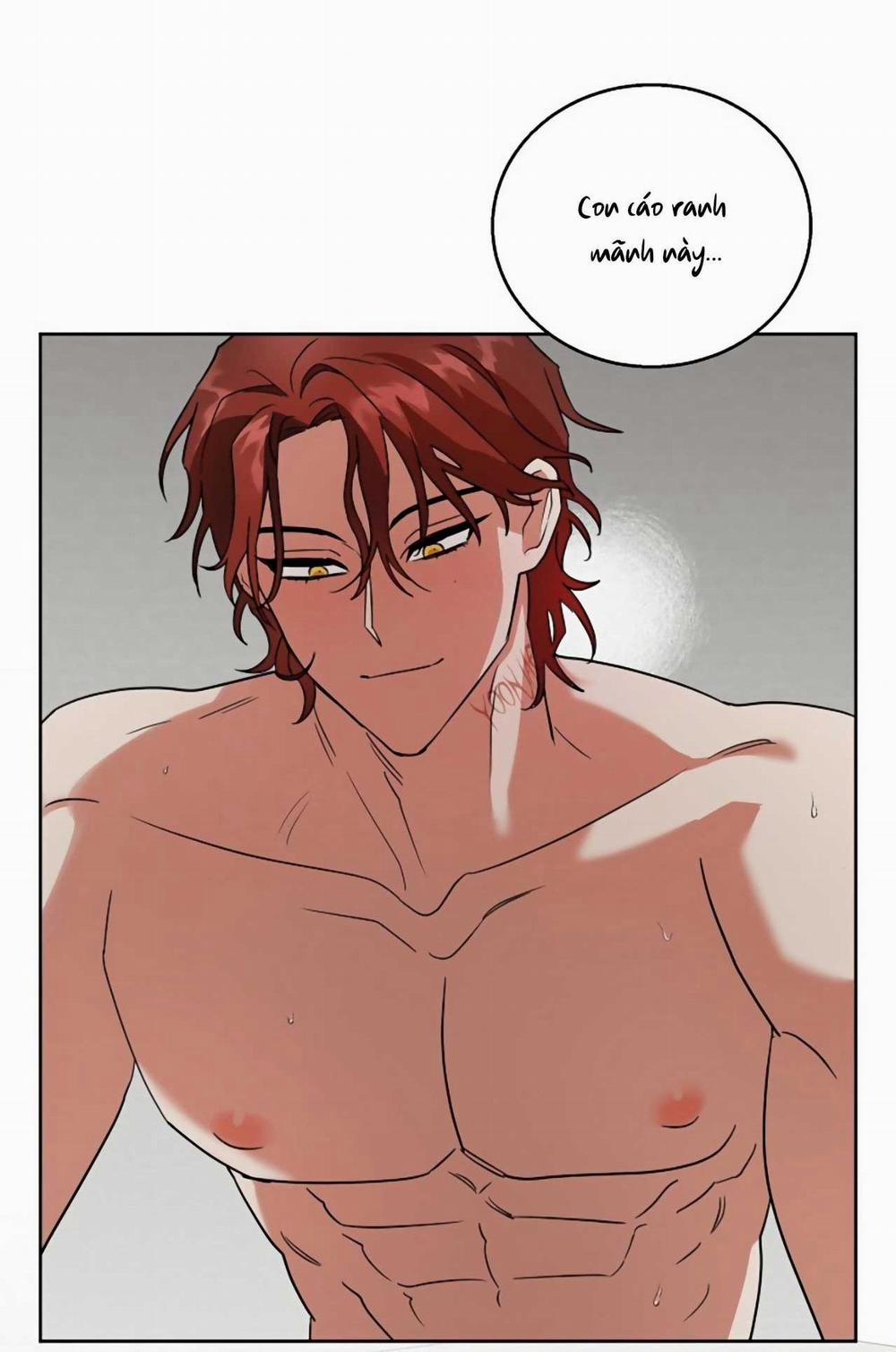 SÓI GIÀ VÀ CÁO NHỎ 6 END trang 60