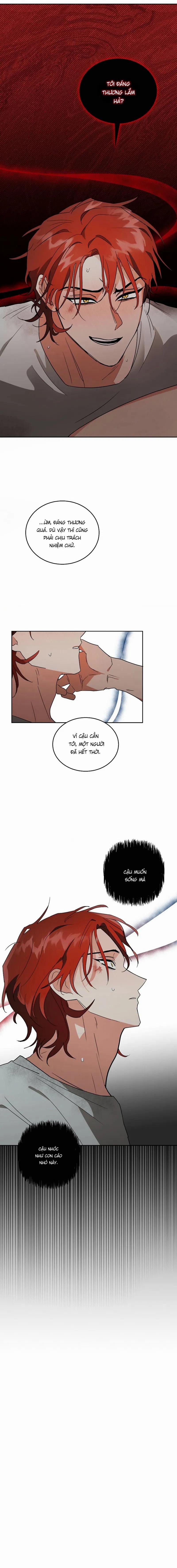 Sói Già Và Cừu Non 4 trang 4