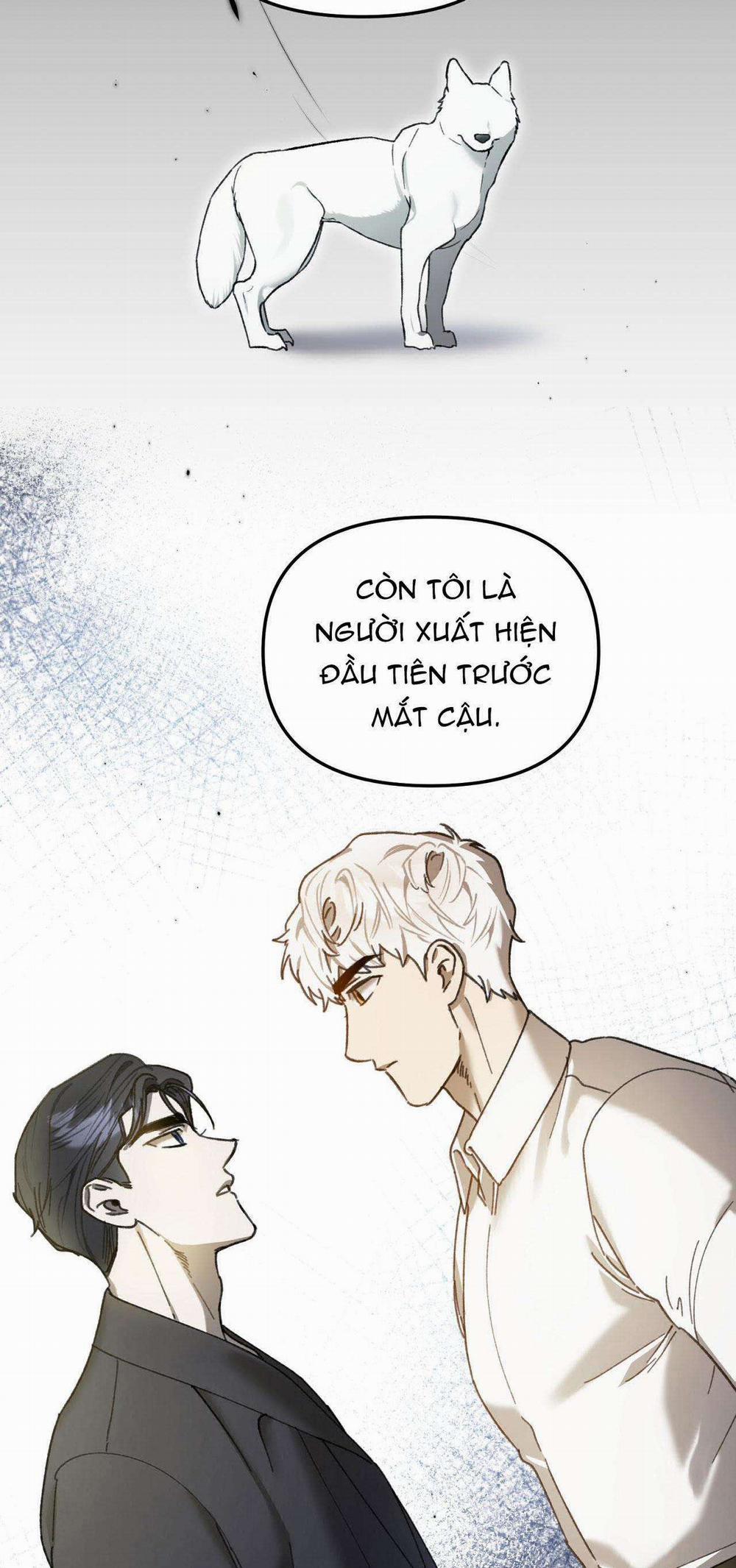 Sói Trong Lồng 14 trang 39