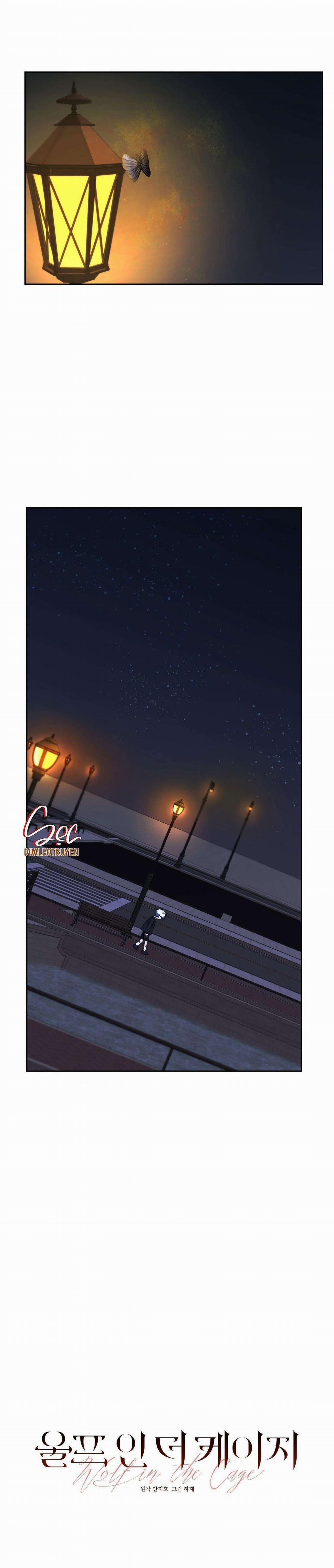 Sói Trong Lồng 8 trang 1