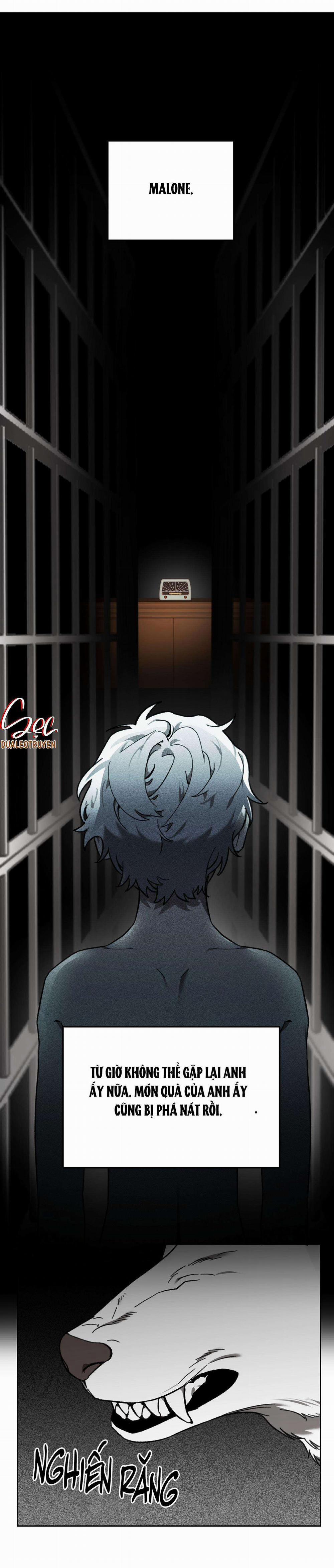 Sói Trong Lồng 8 trang 30