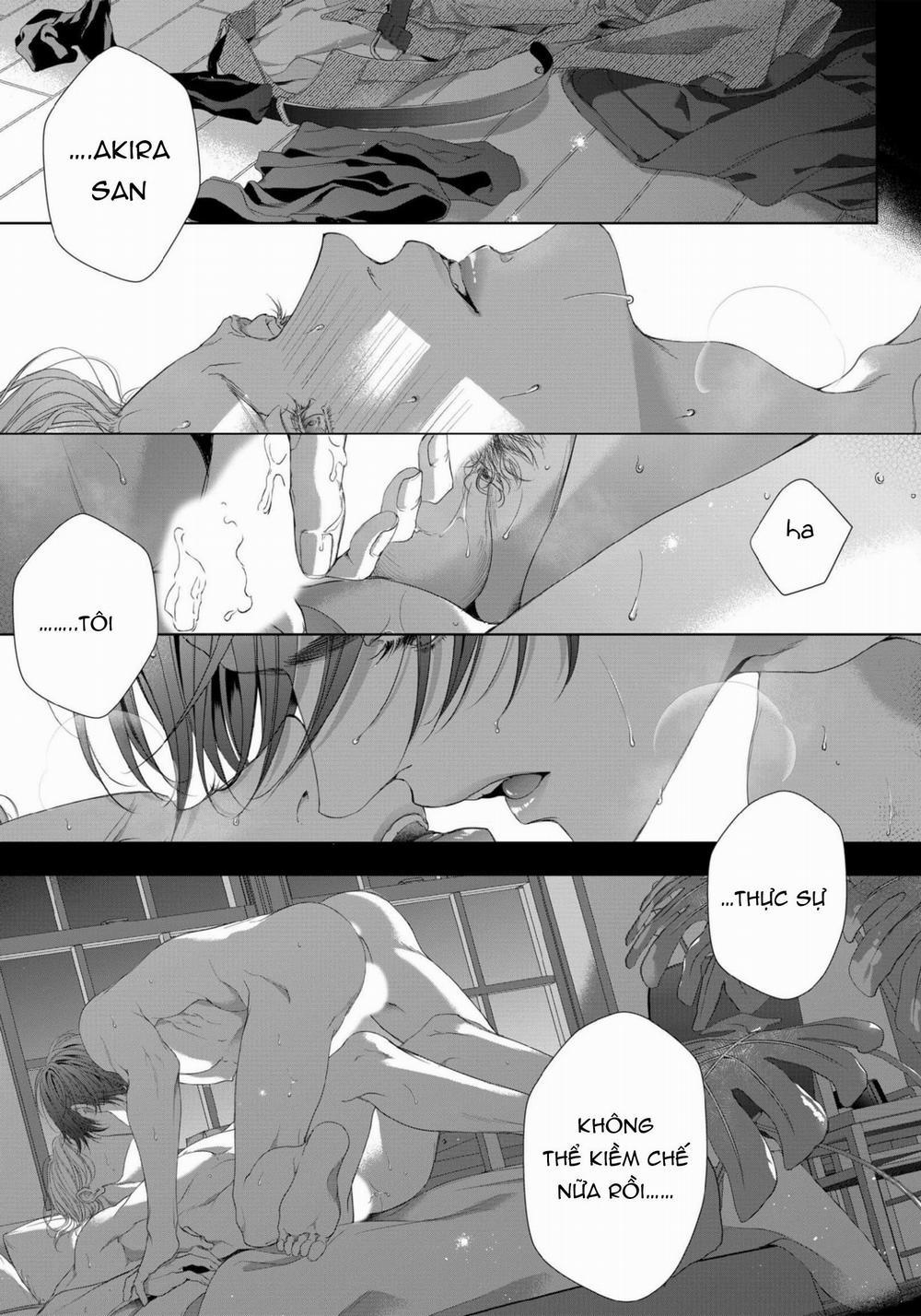 SÓI TRU ĐÊM TRĂNG 2 trang 3