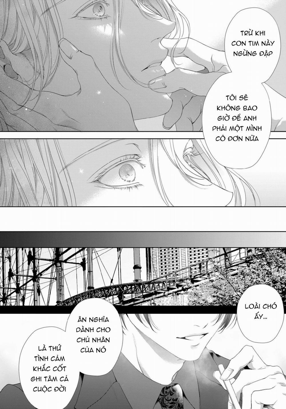 SÓI TRU ĐÊM TRĂNG 3 trang 38