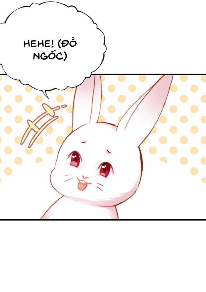 Sói Và Chim Trong Lồng 12 trang 13