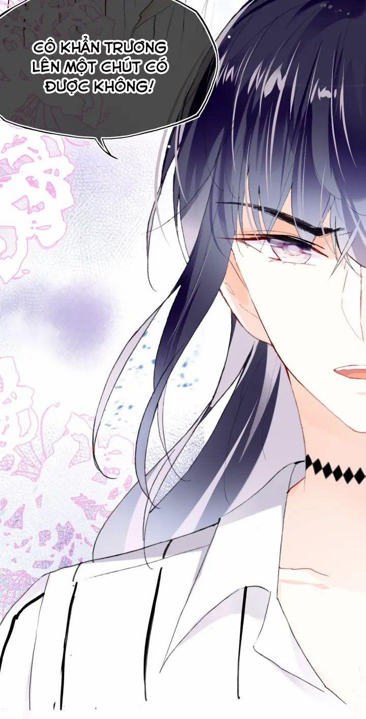 Sói Và Chim Trong Lồng 6.5 trang 22