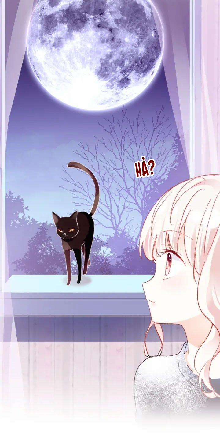 Sói Và Chim Trong Lồng 7.5 trang 27