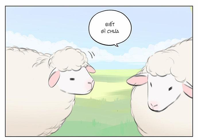 SÓI VÀ CHÓ CHĂN CỪU 1 trang 0