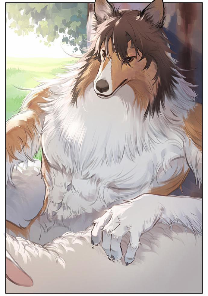 SÓI VÀ CHÓ CHĂN CỪU 1 trang 4